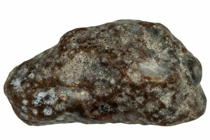 Lunar Meteorite ( g) - NWA #304872